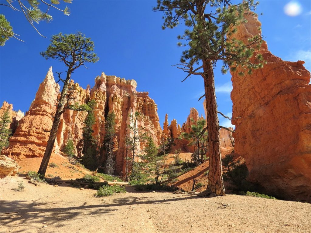 Road trip Four Courners - Bryce Canyon Nasjonalpark